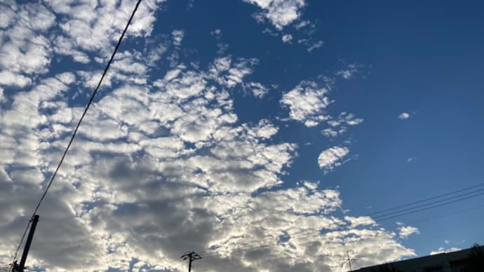 また雨降る予報ですか?