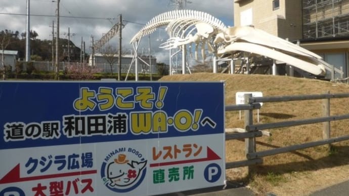道の駅和田浦WA・O!で くじら丼 さんが焼き定食他(南房総市和田)