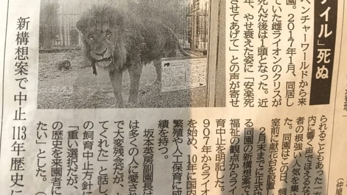 ありがとう