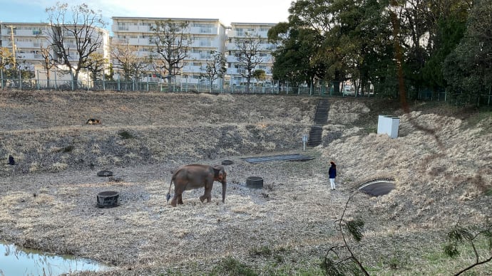 練馬区光が丘公園の貯留池240302