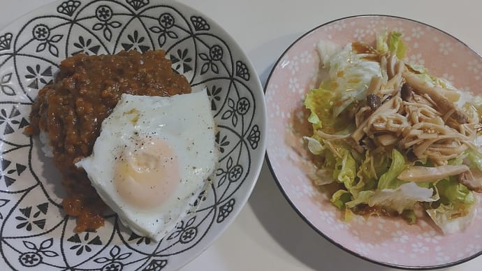 久々ドライカレー