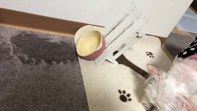 やられた!