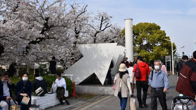 さくら狩り 東京都台東区 隅田公園(3)矢印の先にはスカイツリー
