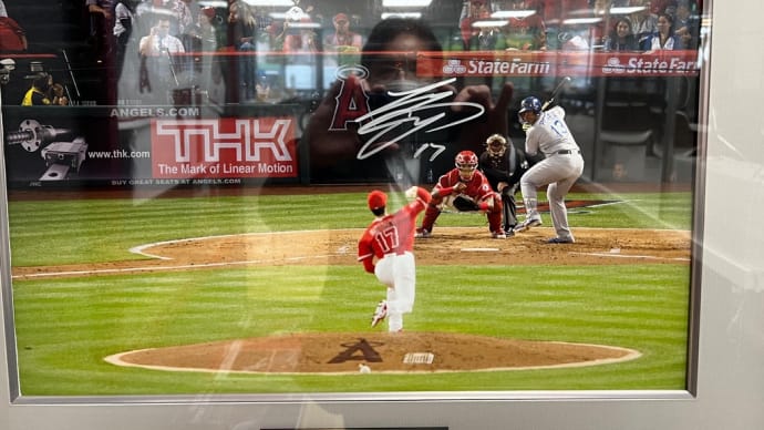 WBC観てますか?やっぱり大谷選手は凄い!