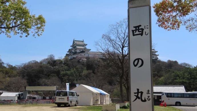 和歌山市役所 和歌山ラーメン 山為食堂