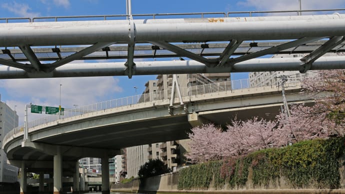 東京 大横川さくらクルーズ 14