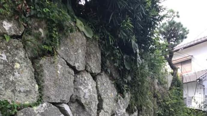 石垣の草取り