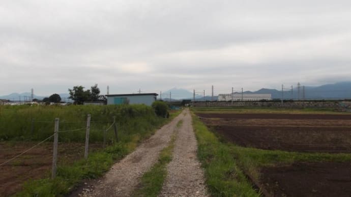 平塚北部から薄っすらと富士山、新幹線が走っていた　　幼稚園もありました