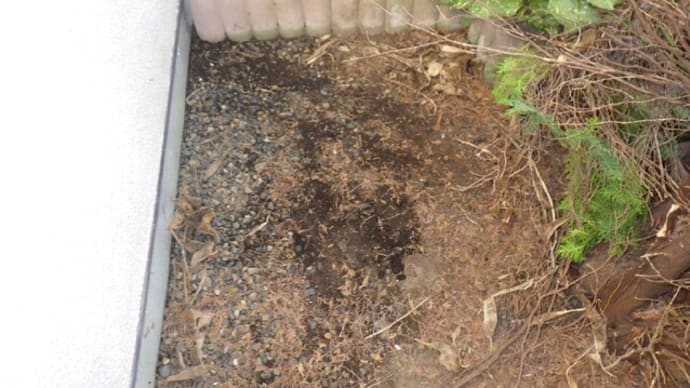 埋まっている水道管の漏水修理の記事・・・千葉市