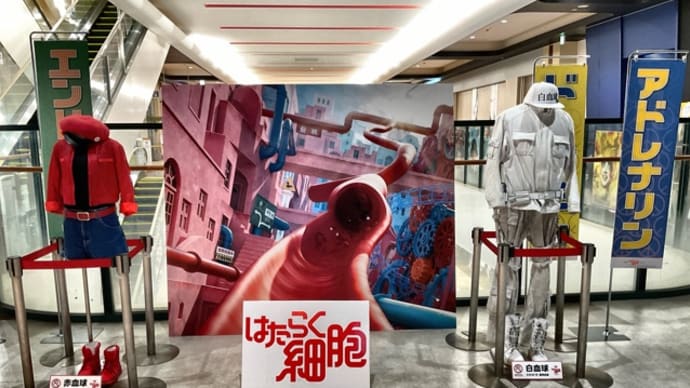 🍀映画🍀202412