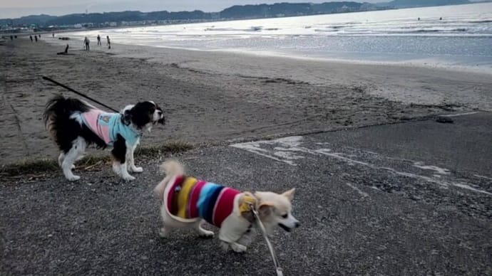 日の出みれる?~由比ガ浜散歩
