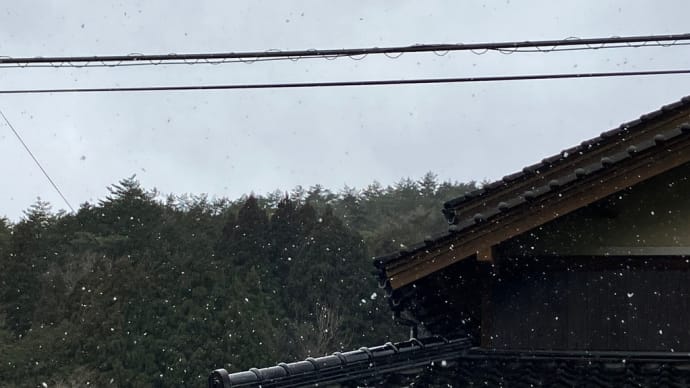 但東暮らし387〜雪とカラス〜