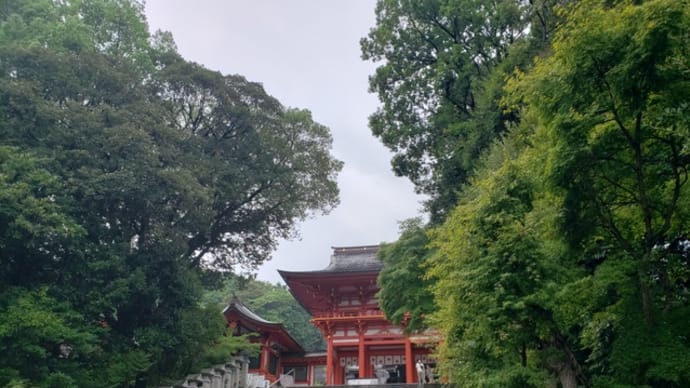 近江神宮に到着:森と楼門がなす聖-俗の境界