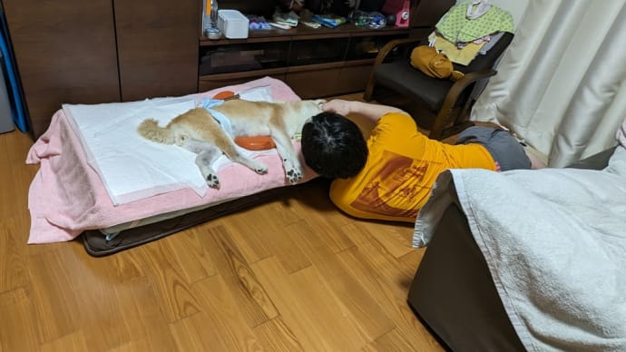 気まぐれクリン😅大好きな兄ちゃんの誕生日