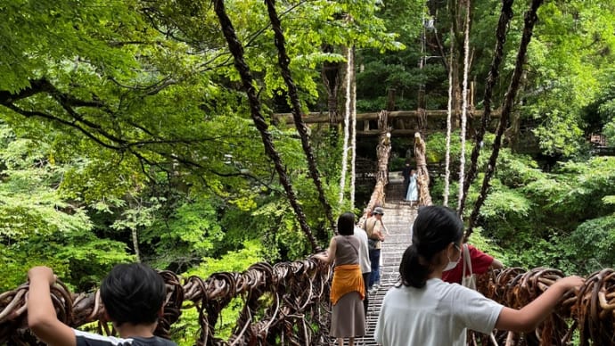 祖谷のかずら橋と琵琶の滝で元気にリフレッシュ😊