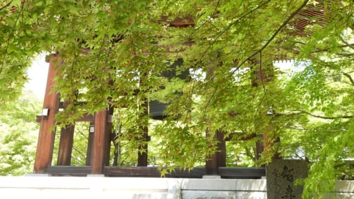 春の『智積院』を散策