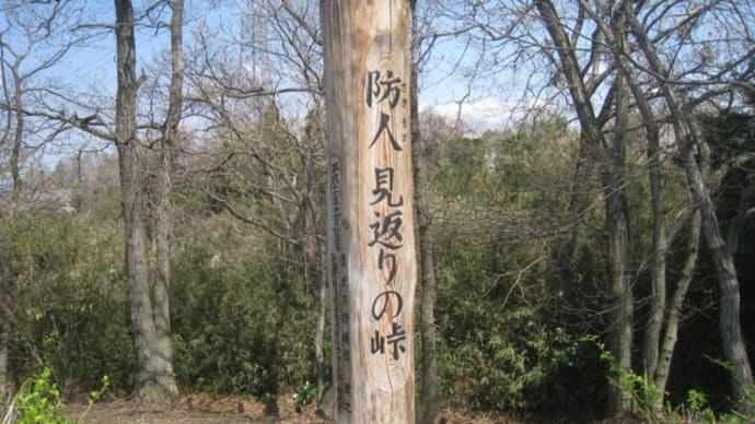 花見散歩～多摩よこやまの道・布田道・奈良原公園