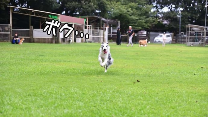 これって…ワタシだけ?🤗