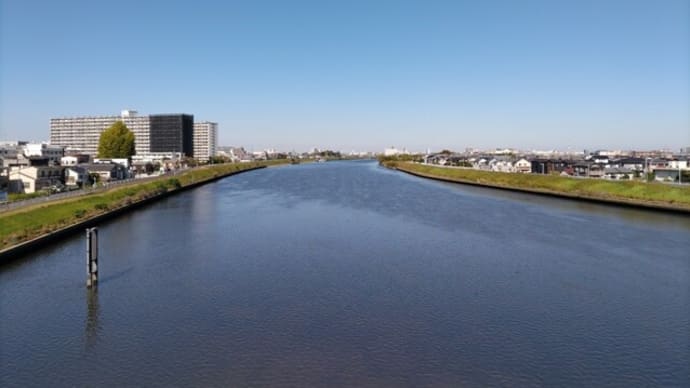 秋の水元公園