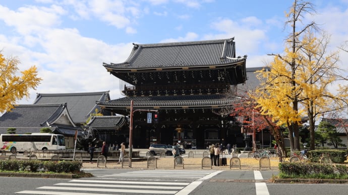東本願寺とゴールドの銀杏
