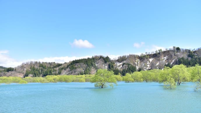 スカイブルーと碧の風景。