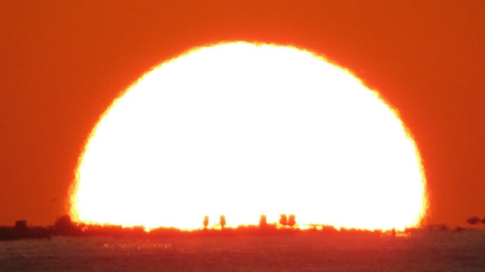 Dharma Sunset November 15/4
