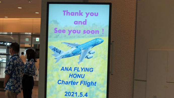 ★ GWの思い出 フライング・ホヌ「カイくん」の遊覧飛行 ... ✈