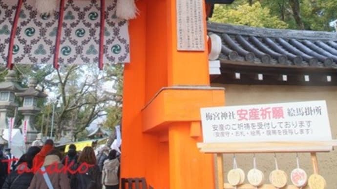 福男選びはここから