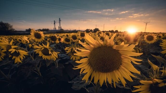 写真の中の背景にある電線や電柱など不要なものを消す方法