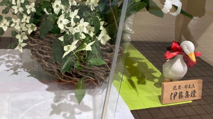 晴れ 晴れも嬉しいけど