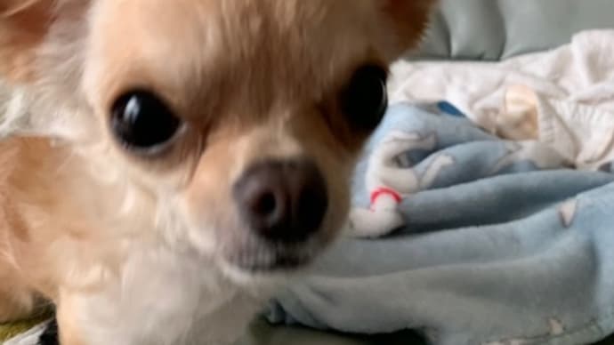 狙ってます。