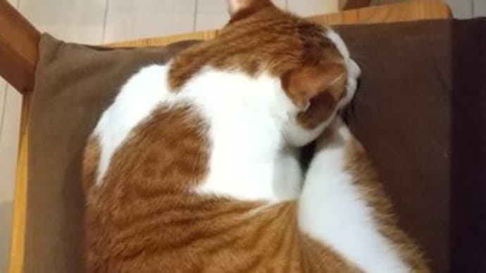 さて、きょうも、仕事に向かいますか。
