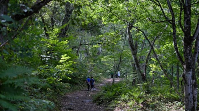 五色沼自然探勝路