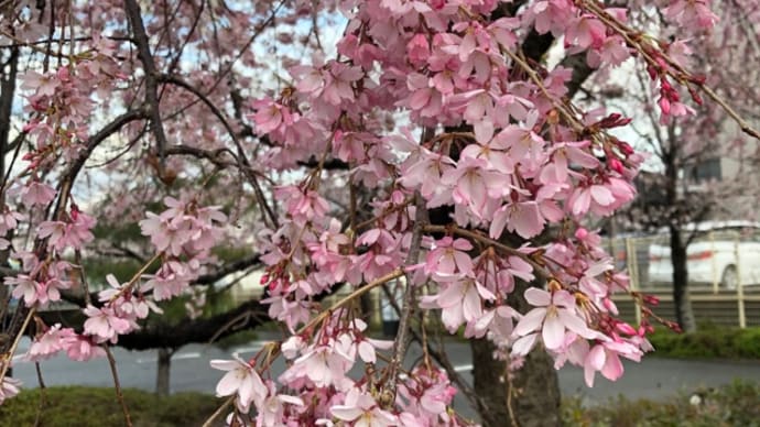 3月最後の日曜日
