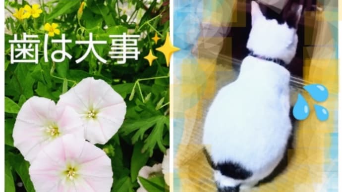 遂に、トップ文字7号「六」の完成だァ❗️