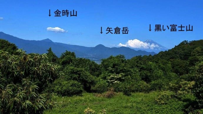 篠窪（しのくぼ）は緑一色で包まれ富士山が綺麗　2023/06/16)