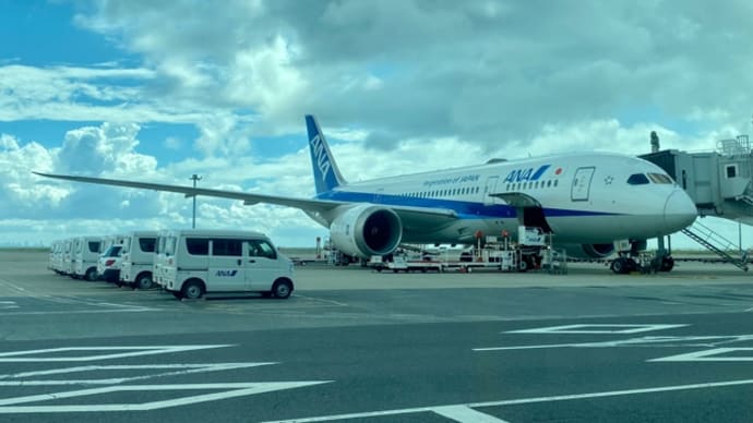 イタリア空軍 来日