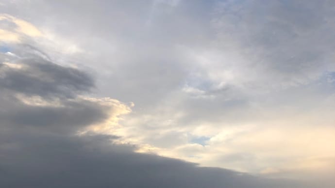 風🌪️強く雨降ったりお日様出たり辺なお天気です
