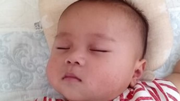 高校野球・・・。