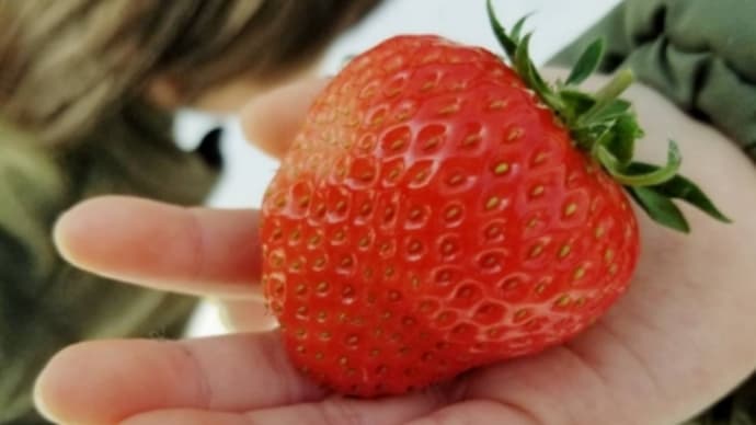 ニシウエ青果園が引っ掛からない