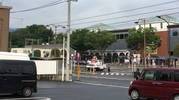 キノコ狩り 東京屈指の激坂は血の味がした