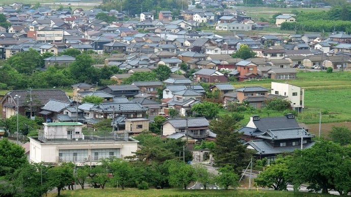 木陰に咲く