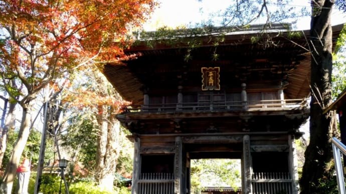 ・ 瀬谷 徳善寺の紅葉 (2021/12/03)