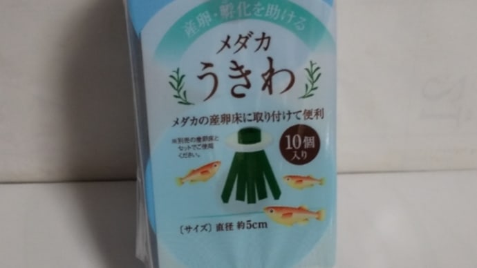 産卵床の材料をセリアで‼️