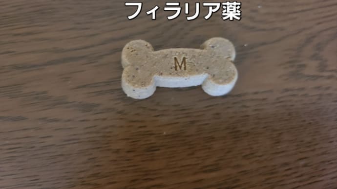忘れるとこやった~