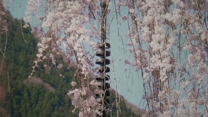 枝垂千手ノ望郷。