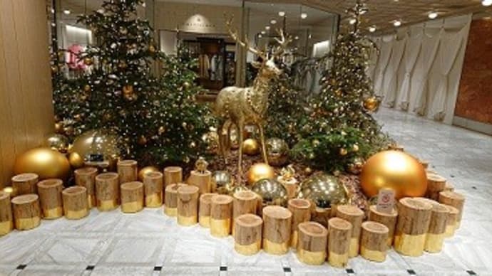 12月も半ば過ぎました一年を振り返って。。。。