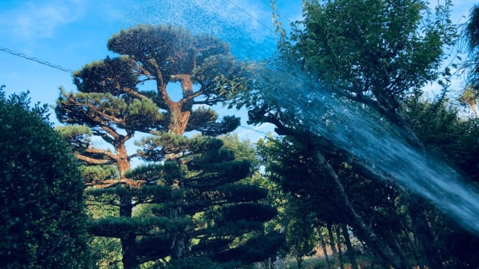 打ち水