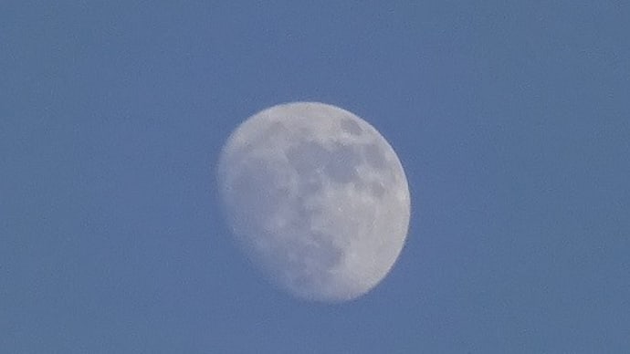 昨日のお月さま