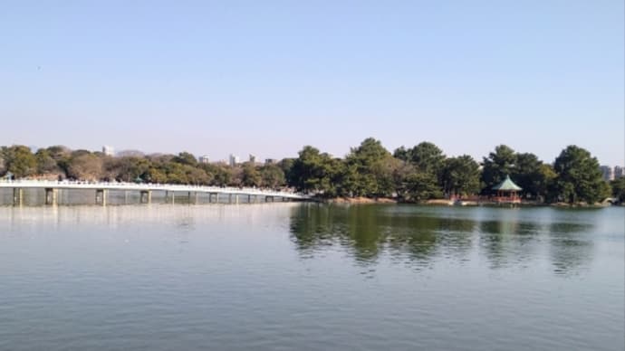 大濠公園ランニング